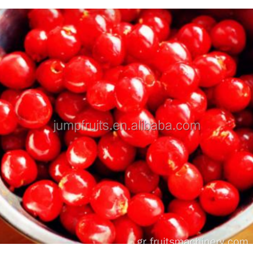 Εμπορική ή βιομηχανική χρήση Cherry Pitter Μηχανή